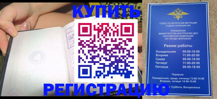 прописка для работы в Кингисеппе